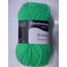 1 GOMITOLO LANA BRAVO SCHACHENMAYR smc 133 MT. CARTELLA COLORI N° 1 (57 colori)