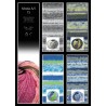 Merinos Jacquard 47% Lana Merinos - 53% PC Microfibra Filato in Gomitolo da 50 gr. +-130 mt.