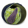 Merinos Jacquard 47% Lana Merinos - 53% PC Microfibra Filato in Gomitolo da 50 gr. +-130 mt.